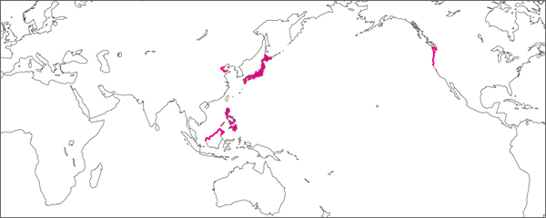 Days from Foundation to Domestic Shipping and Warehousing Businesses