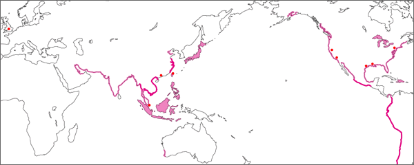 ライナーサービス網拡大の時代